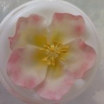 briarrose